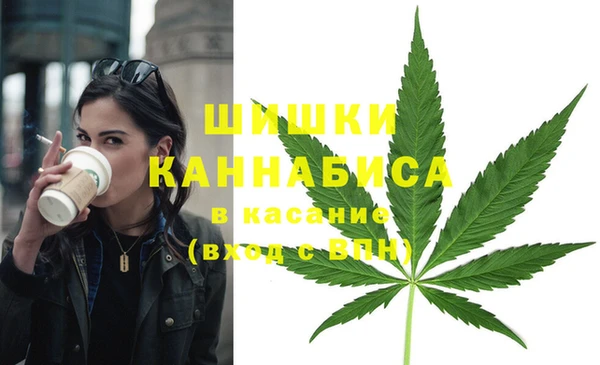PSILOCYBIN Корсаков