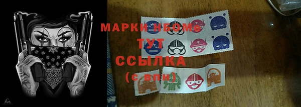 твердый Козельск