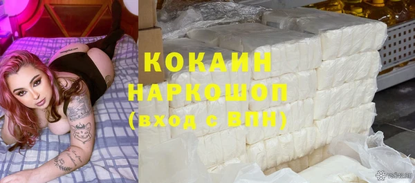 PSILOCYBIN Корсаков