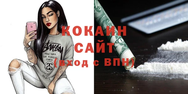 PSILOCYBIN Корсаков